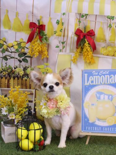 20240419くうくん